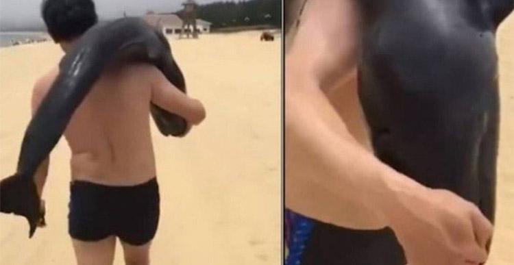 Polícia chinesa está à procura de homem que levou golfinho para casa-0